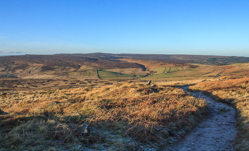Derwent Moors Derwent Moors